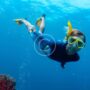 Women in Diving: Become a Professional