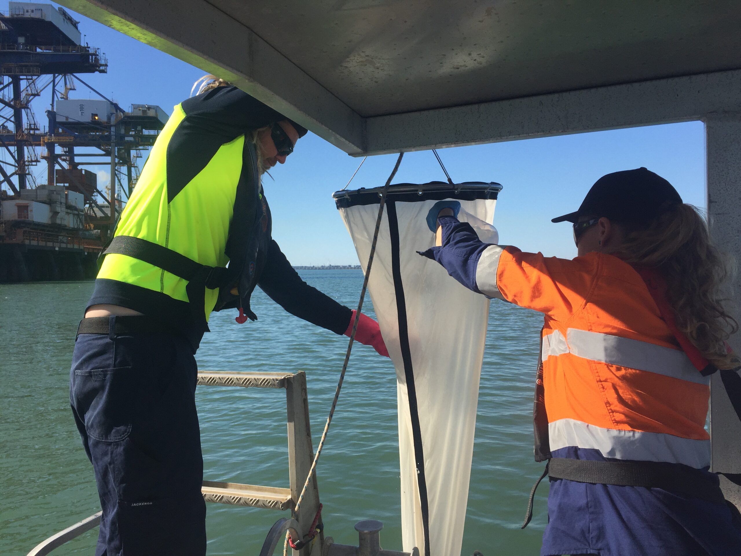 Environmental Services